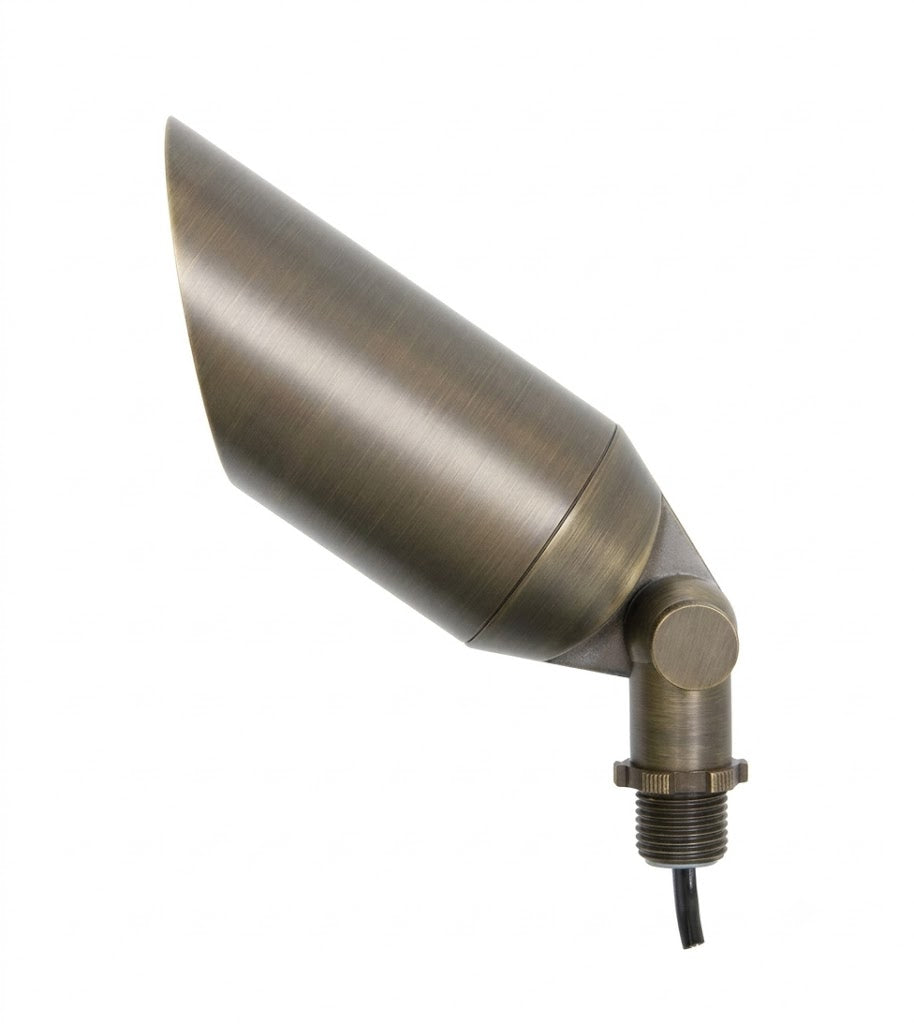 Orion
